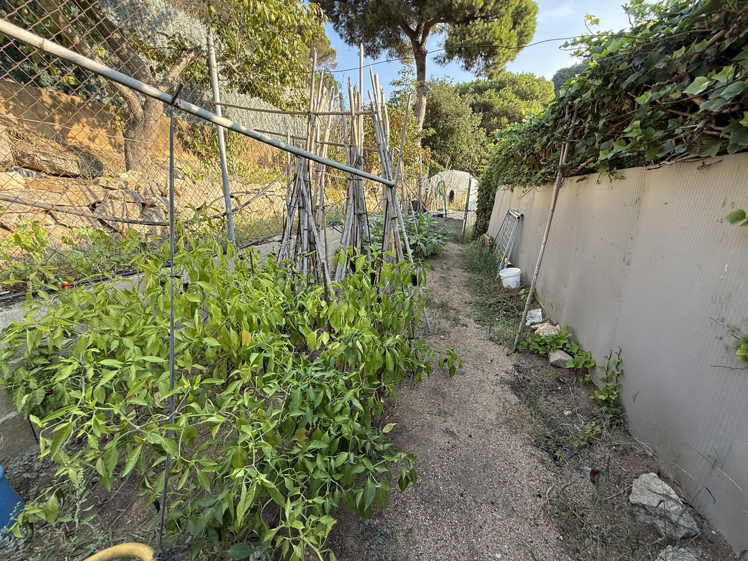 Ruime woning in Font de Sant Lloren Lloret de Mar te koop voor 575.000 euro