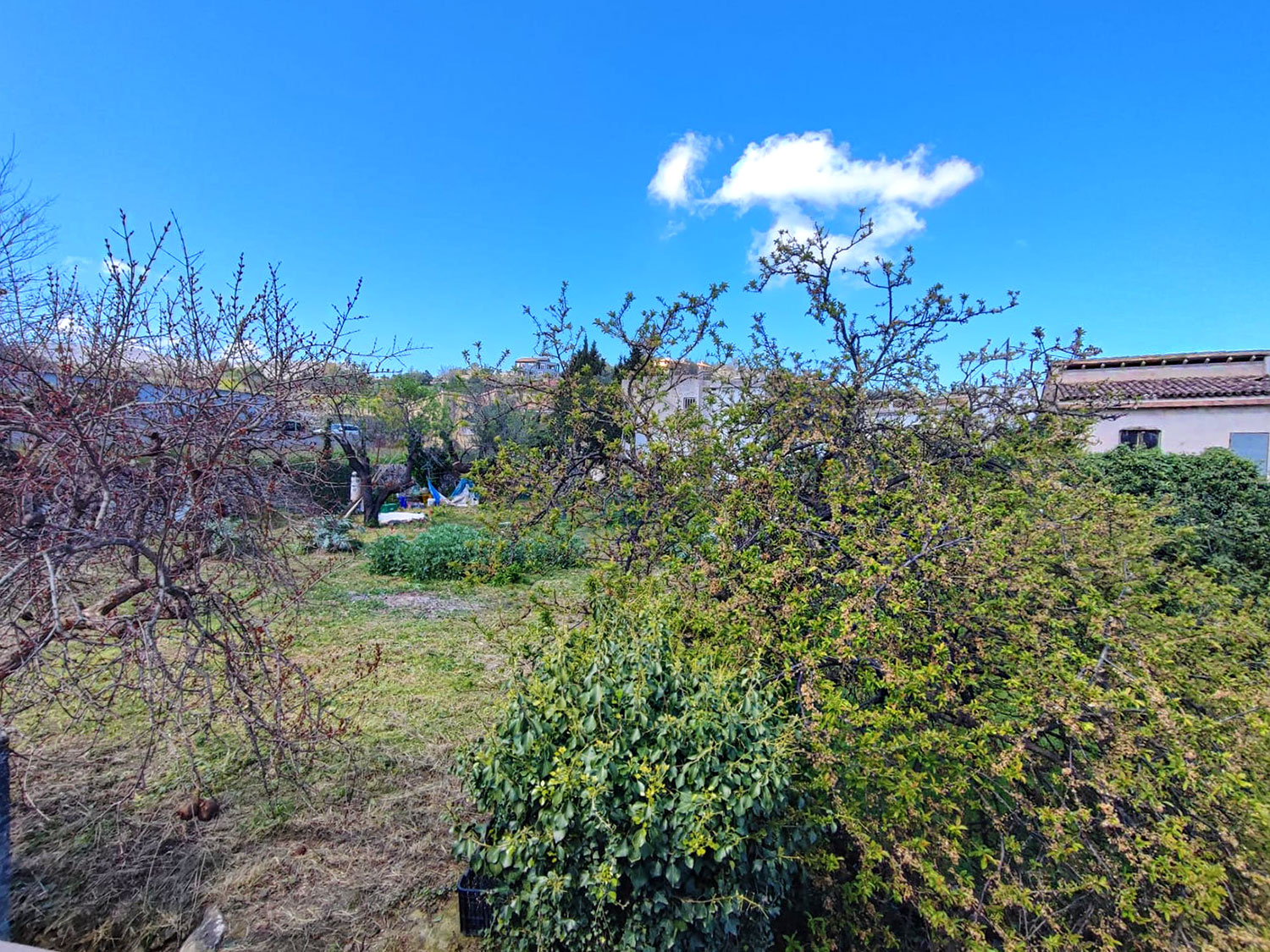 Dorpswoning in Benimaurell voor 120.000