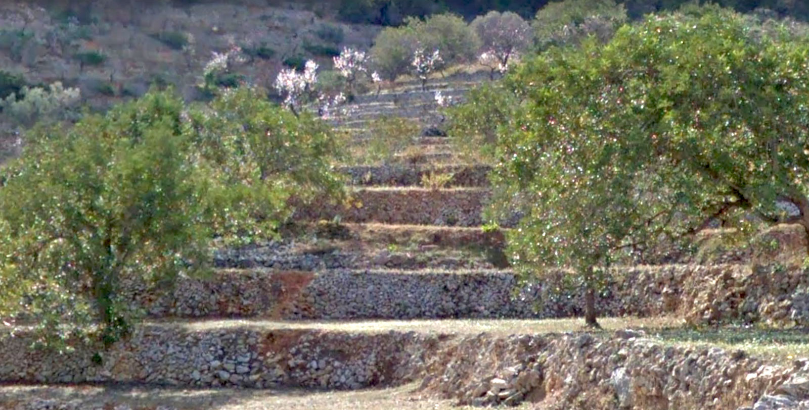 Finca Benissa 35.000 m2 eigen grond