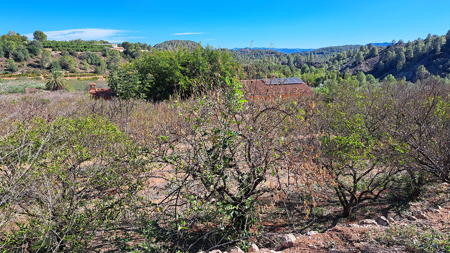 Leuke finca in Anna omgeving Xativa, 3 sl.kamers voor 159.000 euro. Koopje!