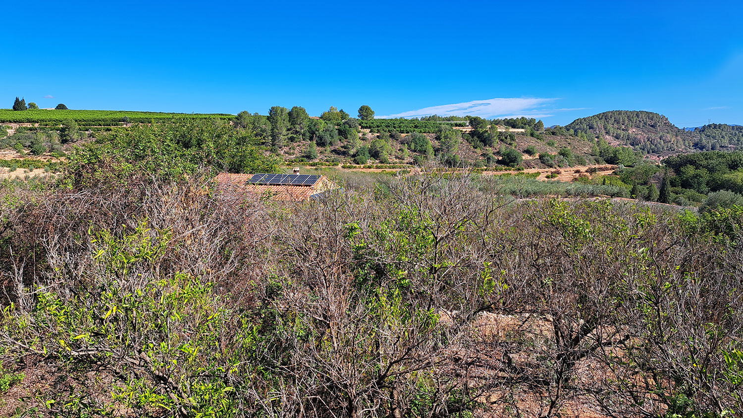 Leuke finca in Anna omgeving Xativa, 3 sl.kamers voor 159.000 euro. Koopje!