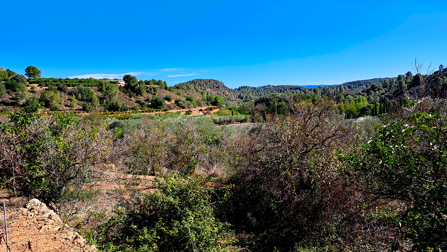 Leuke finca in Anna omgeving Xativa, 3 sl.kamers voor 159.000 euro. Koopje!