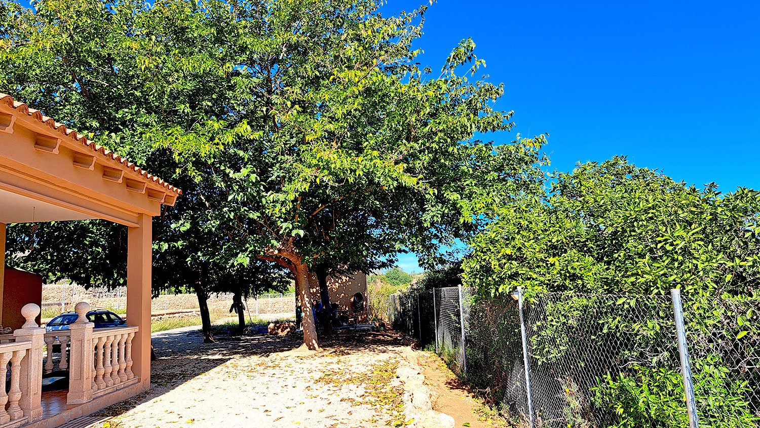 Leuke finca in Anna omgeving Xativa, 3 sl.kamers voor 159.000 euro. Koopje!