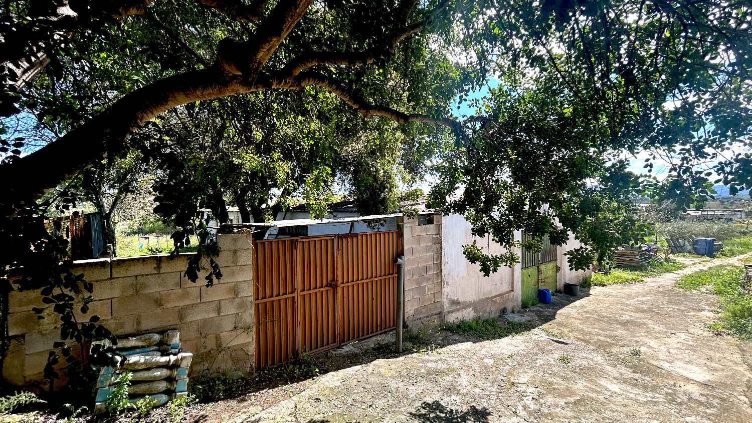 Finca op 6.588 m2 grond met loods te koop voor 220.000 euro