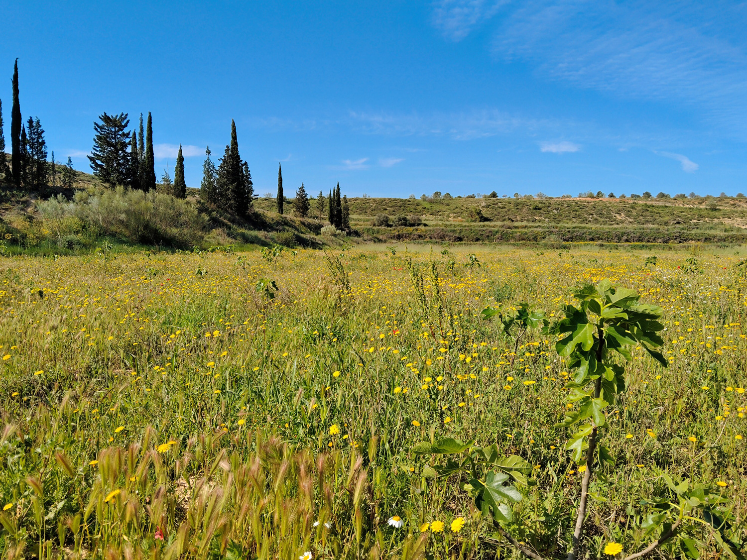 Finca op 54,283 m2 grond te koop aan de rivier de Ebro in Caspe
