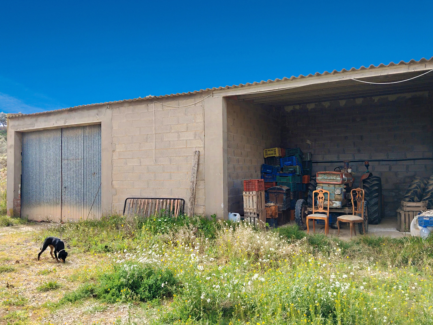 Finca op 54,283 m2 grond te koop aan de rivier de Ebro in Caspe