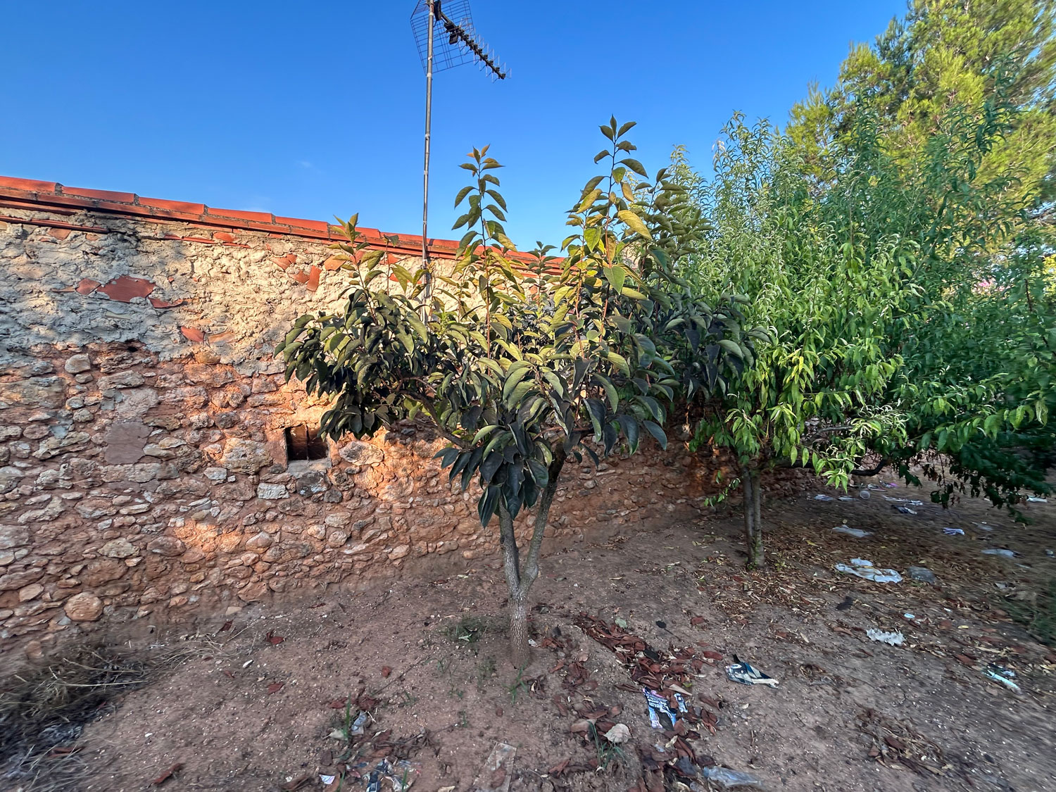Vrijstaand huis in Chella - Xativa met 6 slaapkamers!